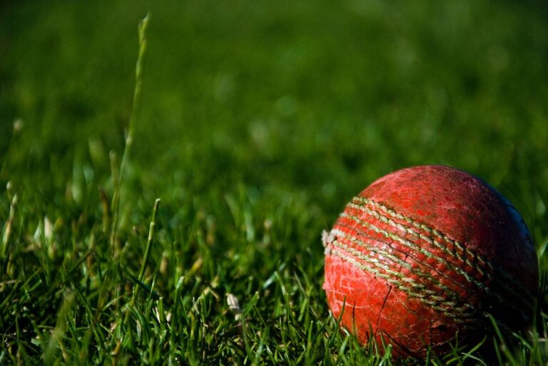 Session Market Betting in IPL: The Role of Team Composition